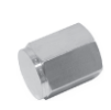 Pipe Cap