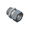Male NPT Connector